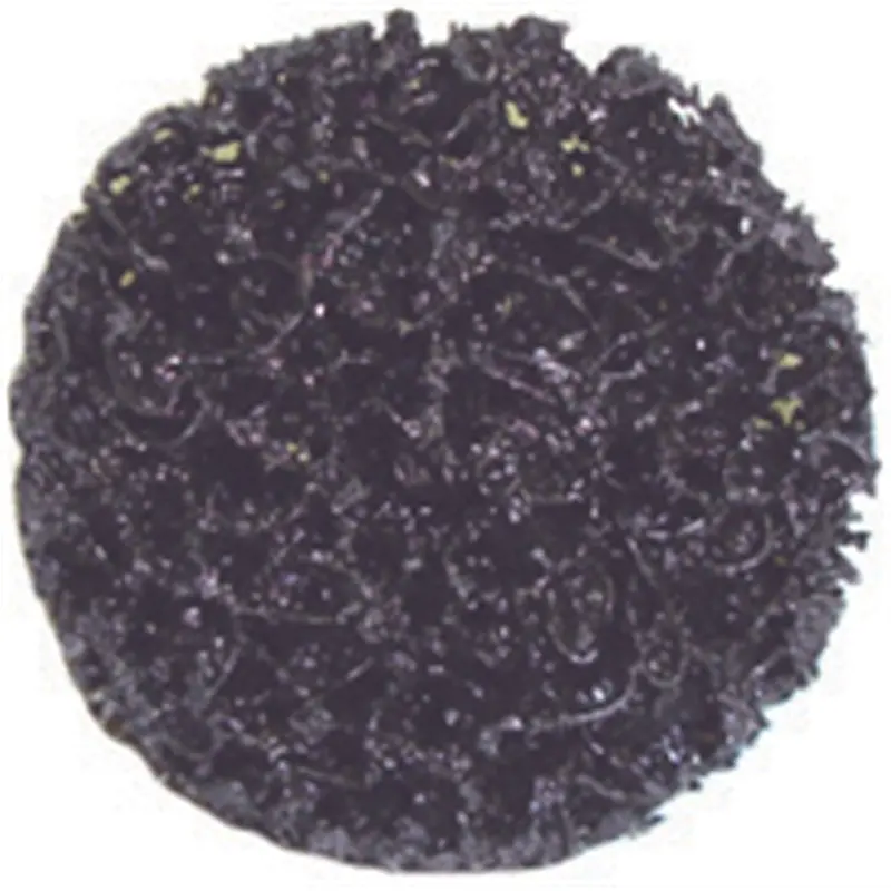 2" Stripping Disc (Quick Change Type) Black Nylon, Strip Away Disk (25/Box) Tmrmi577-25 The Main Resource 1