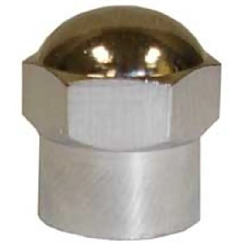 Chromed Plastic Hex Cap For Tpms Application (100/Box) Tmrti108 The Main Resource 1