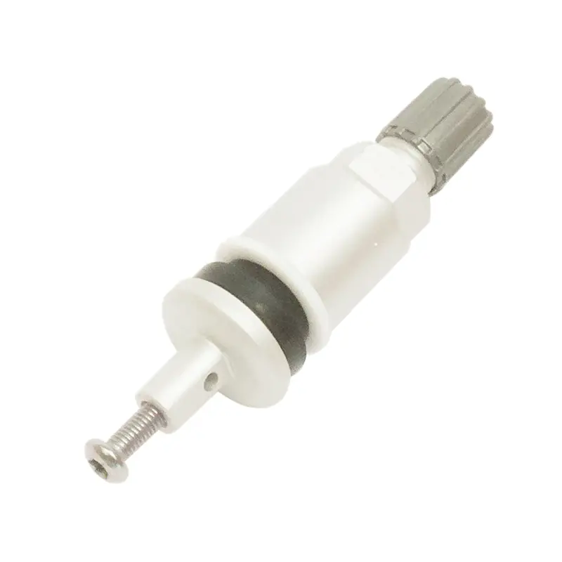Clamp-In Valves For Schrader Rev 4 Tmrtr6-216 The Main Resource 1