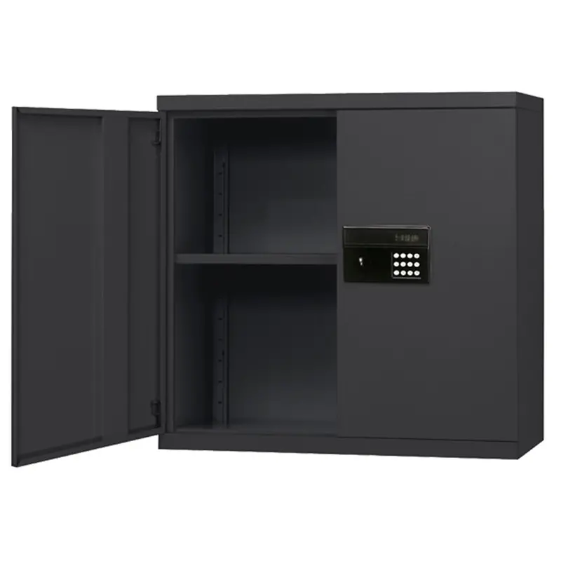 Wall Mounted Security Cabinet Gltw1-A Goliath Carts 1