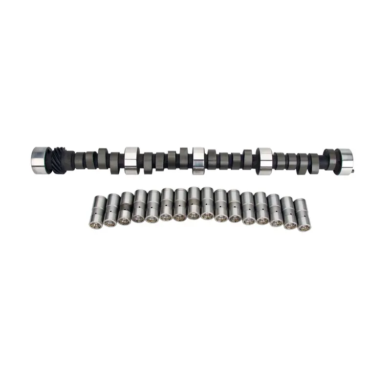 Lunati 10110910Lk Drag Race 246/255 Hydraulic Flat Cam And Lfter Kit For Chevrolet Big Block 1